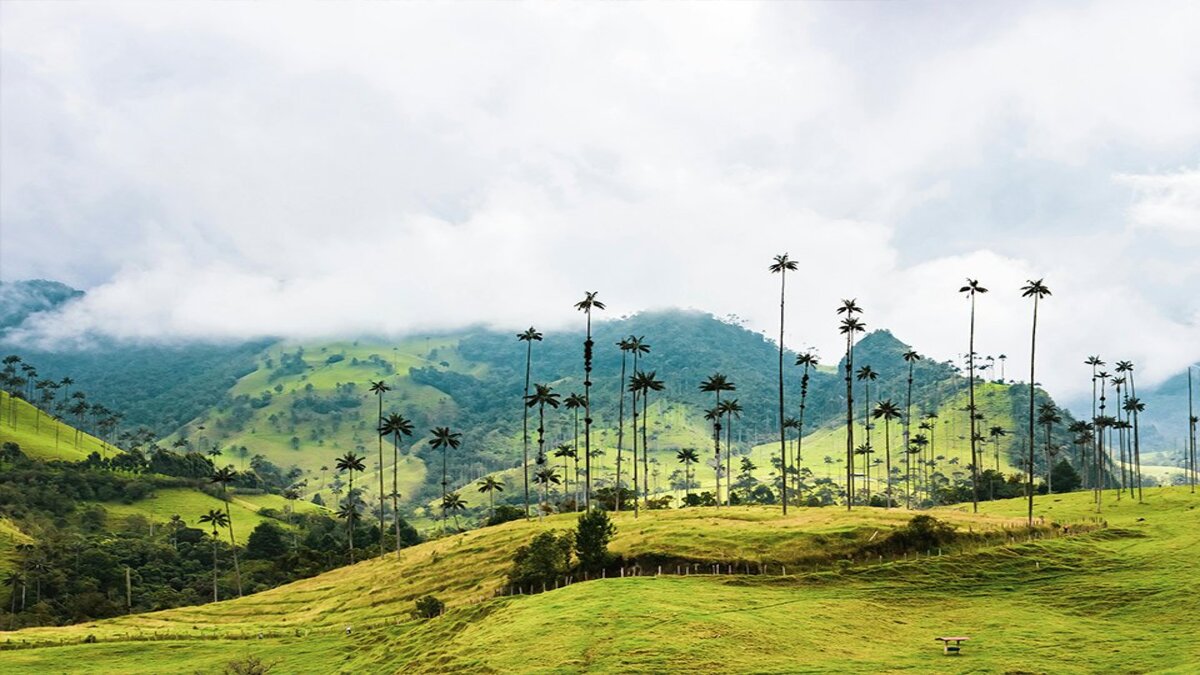 boletin-eje-cafetero-flujos-region-2.png