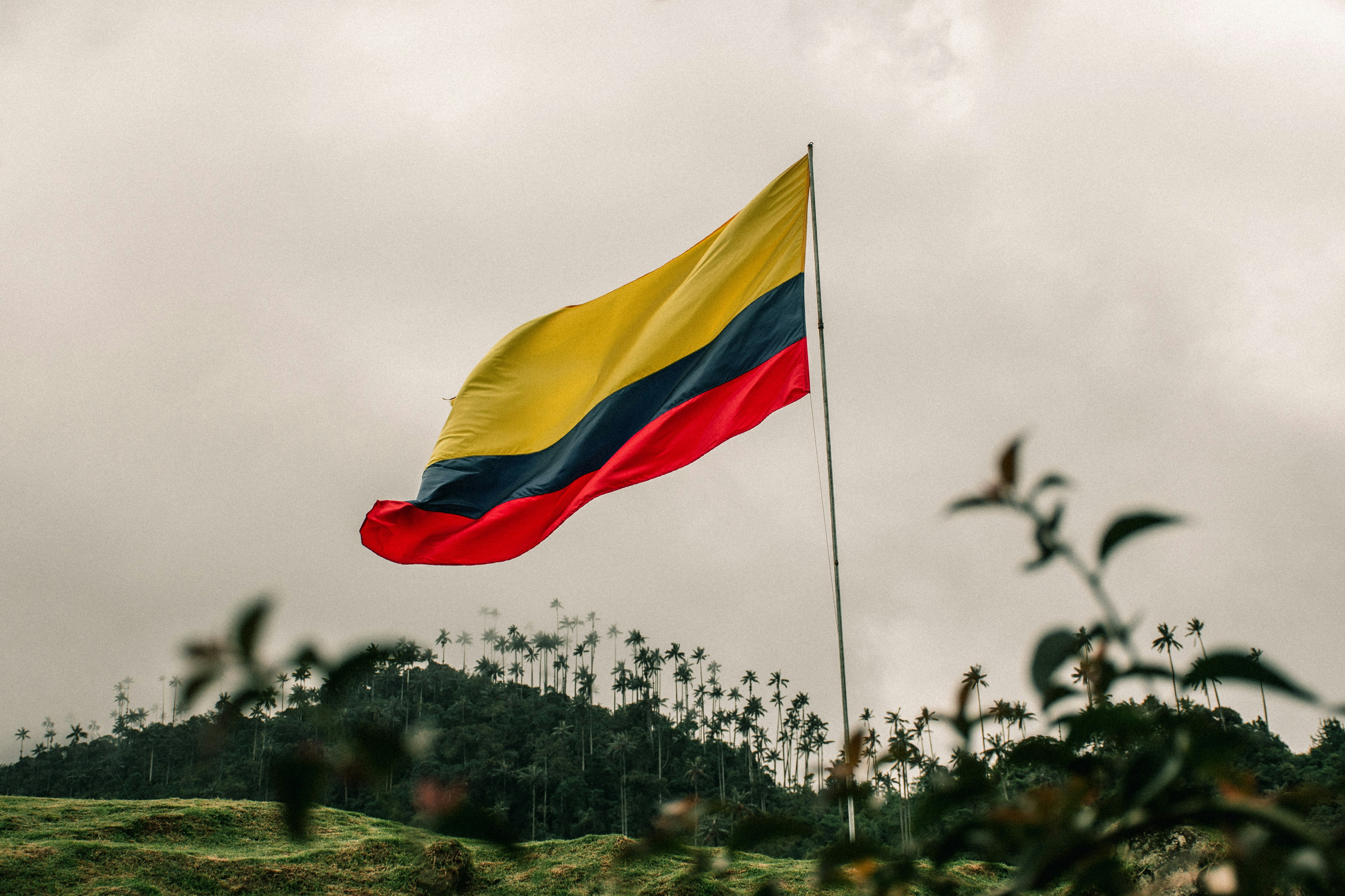 Bandera de Colombia ondeándose en el Valle del Cocora, en Quindío, Colombia, con las palmas de cera de fondo