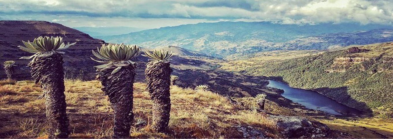 Migración Colombia es territorio